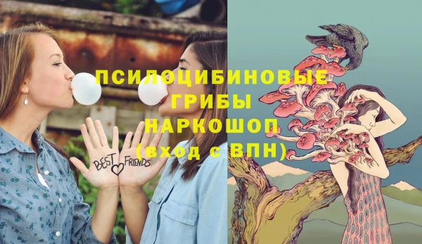 apvp Алексеевка