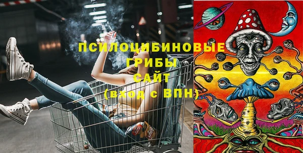 apvp Алексеевка